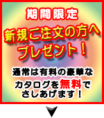���ָ��ꡡ��������ʸ�����إץ쥼��ȡ����̾��ͭ���ι�ڤʥ���������̵���Ǥ��������ޤ���